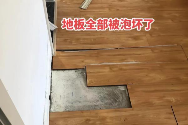 2楼的房子下水管是不是容易反水.