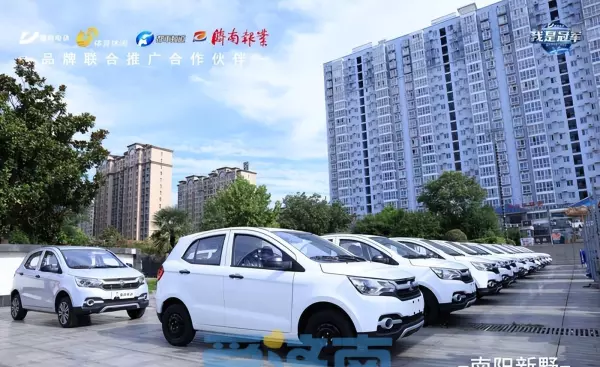 雷竞d90四轮电动车价格(11)