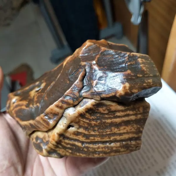 金钱石是什么石头(12)