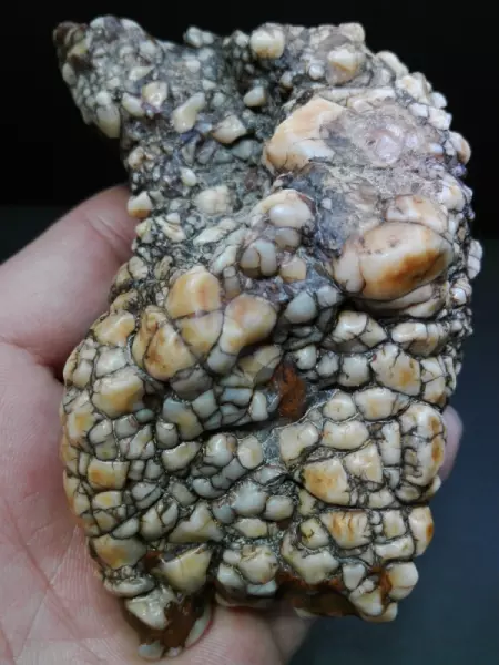 金钱石是什么石头(15)