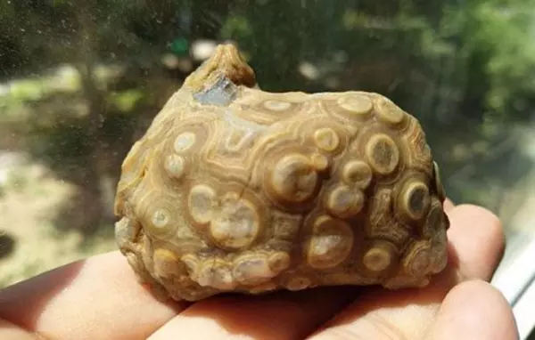 金钱石是什么石头(6)