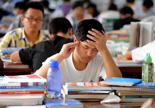 风景园林取消一级学科有什么影响(5)