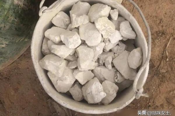 生石灰多少钱一吨最新价格.