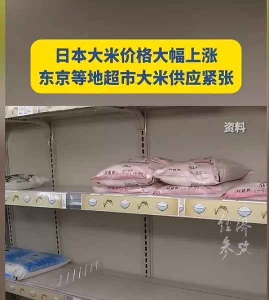 价格多少钱一斤2024今日价格(12)