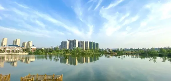 噪音处理投诉件怎么写反馈意见(7)