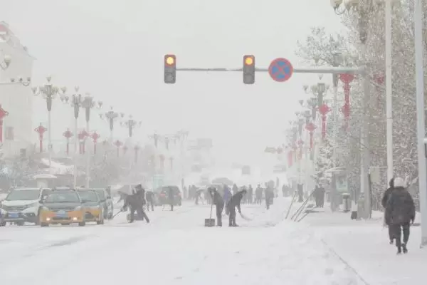 雪之景2号哪里可以买到(5)