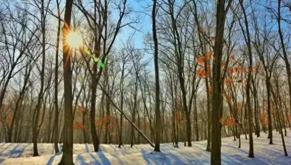 路冲的房子住后有什么影响(1)