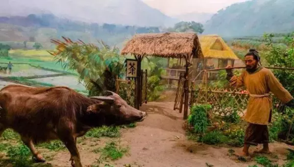 路冲的房子住后有什么影响(2)