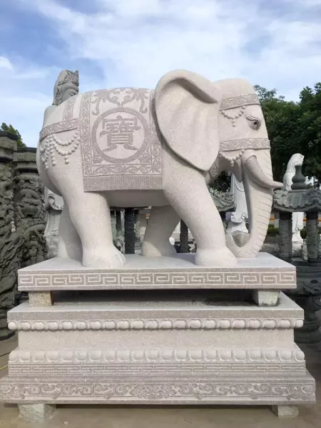 梦到洋房大象爬坡是什么意思(1)