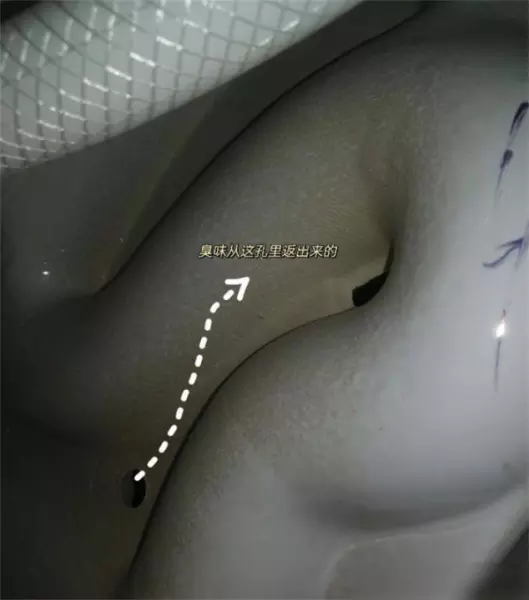 卫生间反味怎么办?味道从哪来的?如何解决(2)