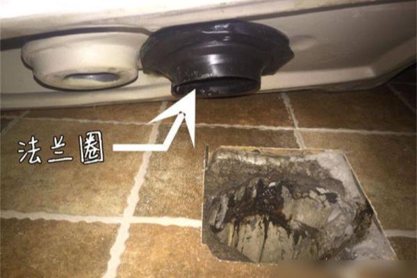 卫生间反味怎么办?味道从哪来的?如何解决.
