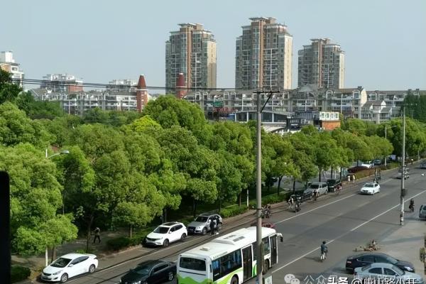 枫泾房价为什么上不去.