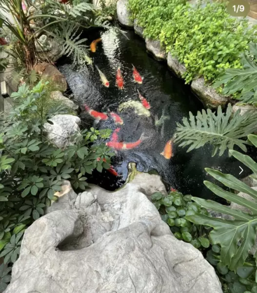 阳台鱼池设计图效果图大全(3)
