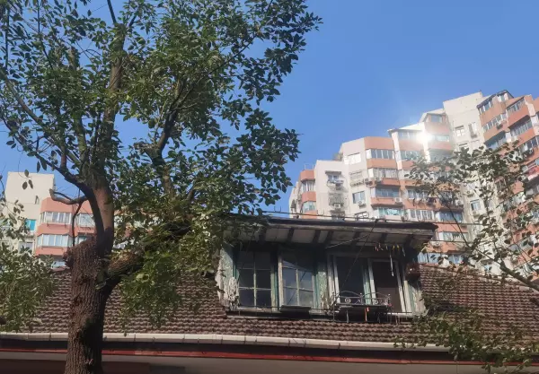 道格拉斯住宅和史密斯住宅的区别(6)