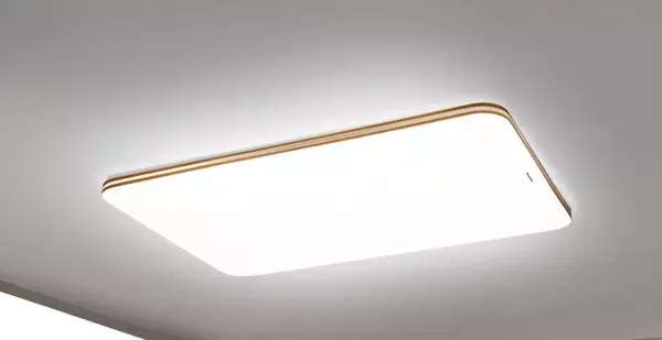 卧室吸顶灯哪个牌子好 十大护眼灯品牌(8)