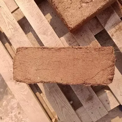 椰砖可以直接当土种菜用吗(4)