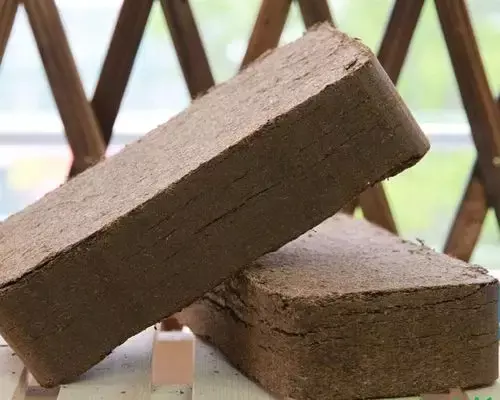 椰砖可以直接当土种菜用吗(5)