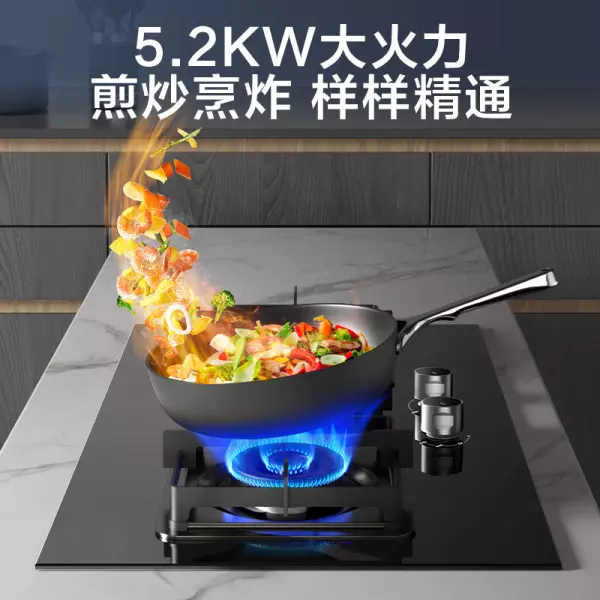 燃气灶排行榜前十名有哪些品牌(4)