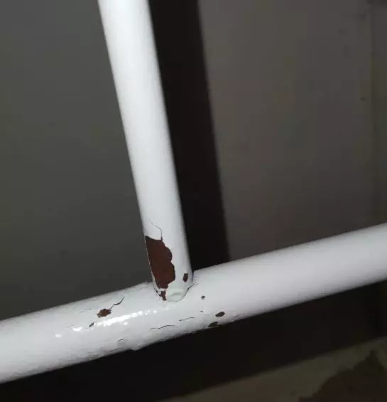 高箱床好不好 高箱床的优缺点(13)