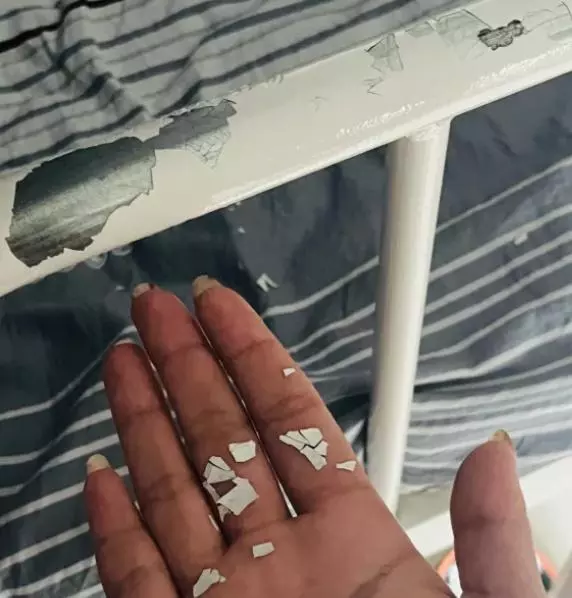 高箱床好不好 高箱床的优缺点(15)