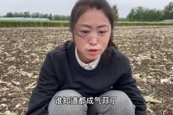 安徽离山东有多远开车几个小时.