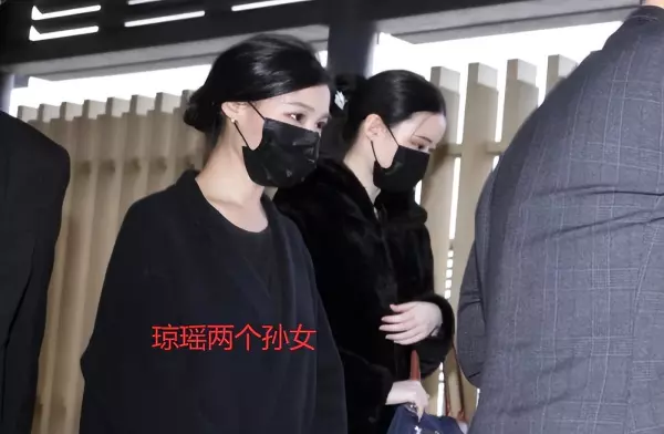 李翎君和琼瑶什么关系(5)