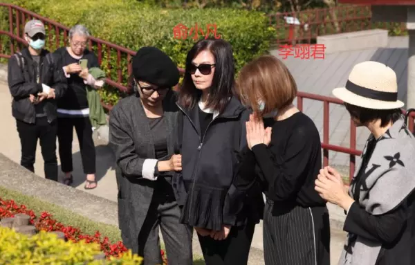 李翎君和琼瑶什么关系(9)