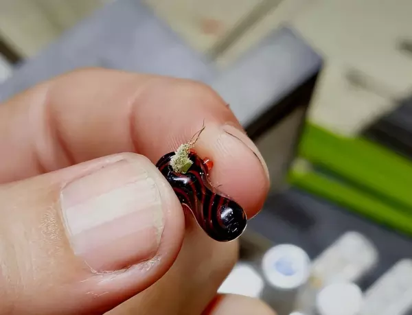 木工diy手工制作大全(6)