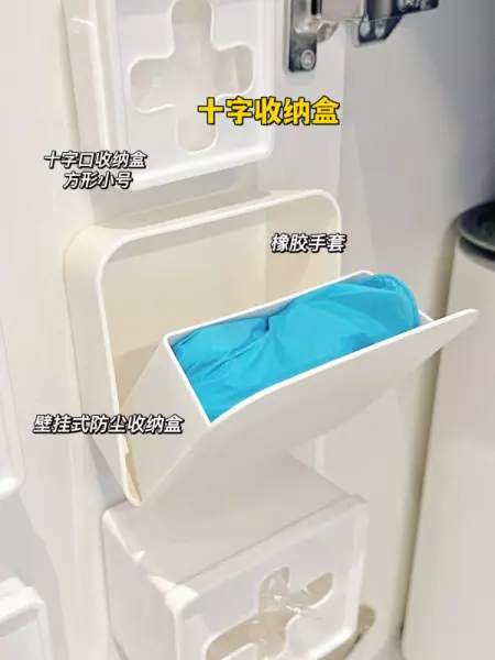 收纳整理有窍门吗(15)