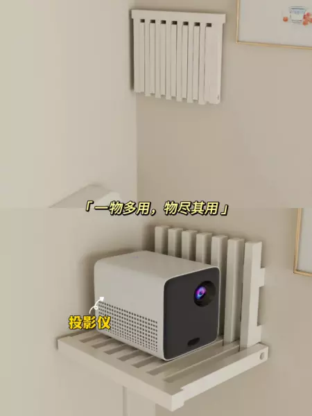 收纳整理有窍门吗(20)