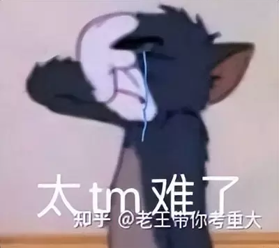 bibo稳定是什么意思(11)