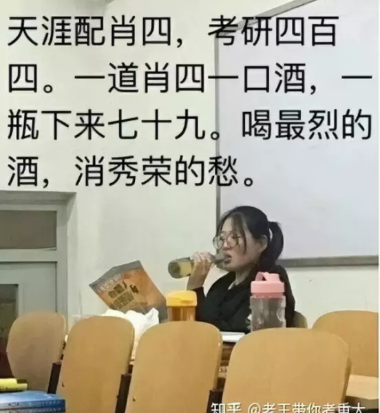 bibo稳定是什么意思(12)