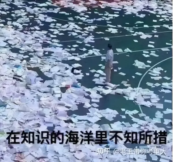 bibo稳定是什么意思(13)