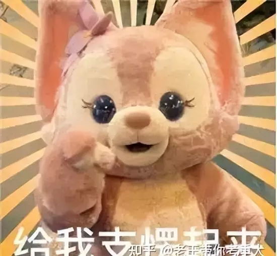 bibo稳定是什么意思(15)