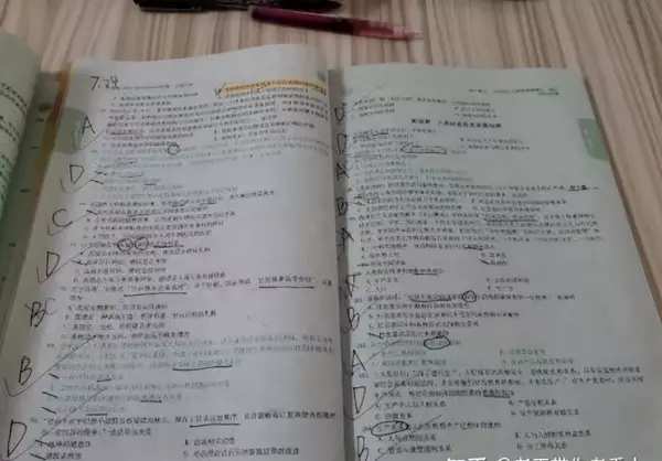 bibo稳定是什么意思(8)