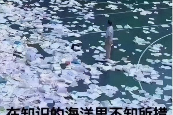 bibo稳定是什么意思.
