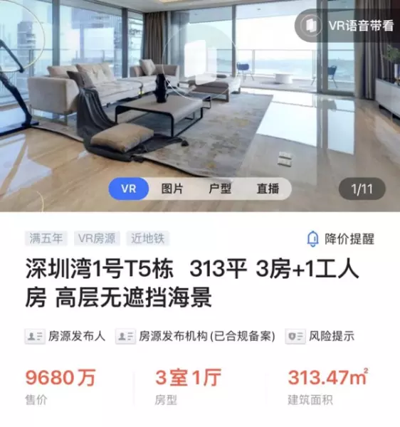 顶级豪宅价格(2)