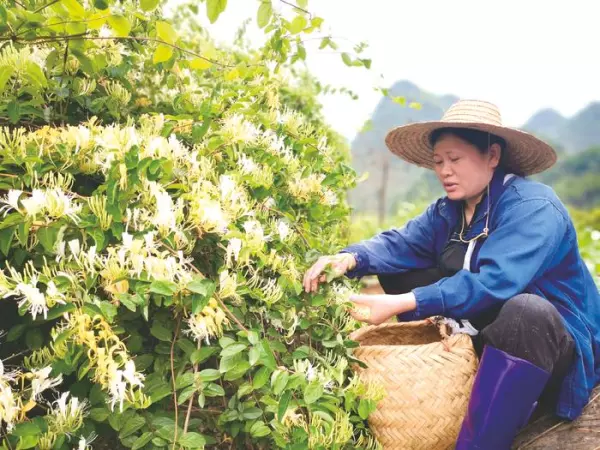 zmorplus女装是什么牌子(3)
