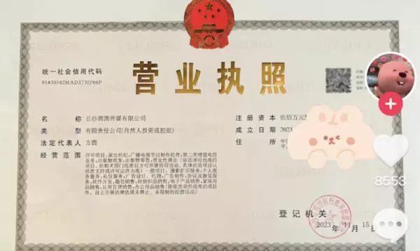 檀宫和汤臣一品哪个好(54)