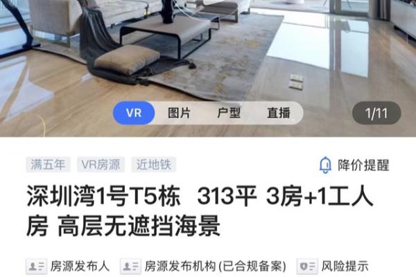 顶级豪宅价格.