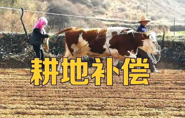 平米换算亩的计算方法(1)