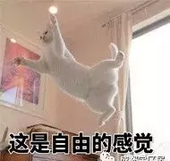 首航欣程房价为什么这么便宜(3)