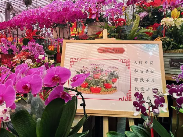 玉泉营花乡花卉市场营业时间(4)
