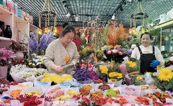 玉泉营花乡花卉市场营业时间(5)