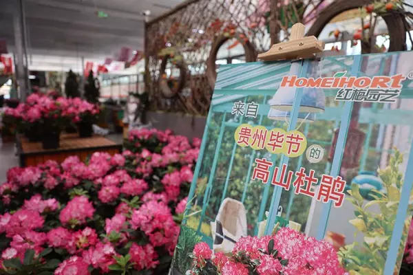 玉泉营花乡花卉市场营业时间(6)