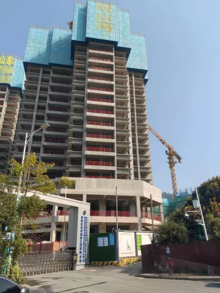 平湖房价2024最新价格(5)