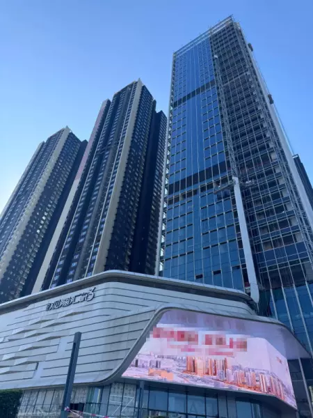 平湖房价2024最新价格(6)