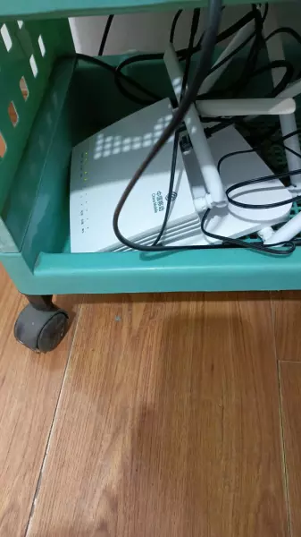 装网线要多少钱一年1000多合理吗(1)
