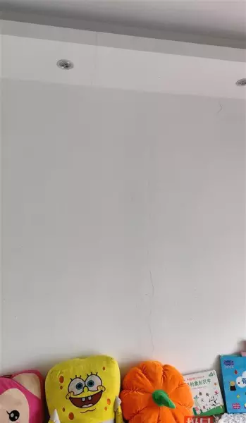 汉口湖畔二期什么时候建好的(1)