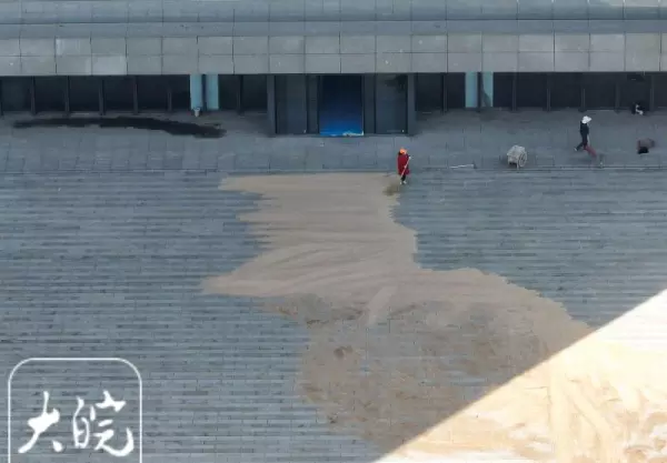 合肥政务区图书馆什么时候开放(2)